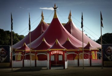 A magia do circo