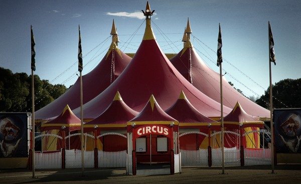 A magia do circo